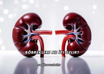 Böbreklere Ne İyi Gelir?