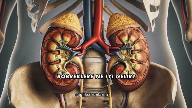 Böbreklere Ne İyi Gelir?