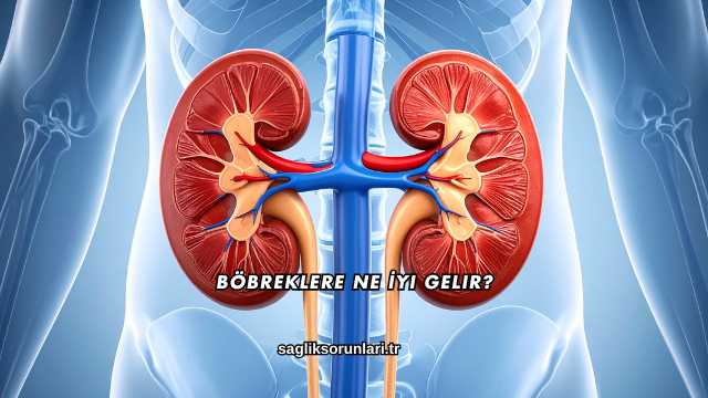 Böbreklere Ne İyi Gelir?