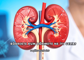 Böbrekte Kum Dök­meye Ne İyi Gelir?