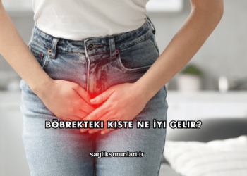 Böbrekteki Kiste Ne İyi Gelir?