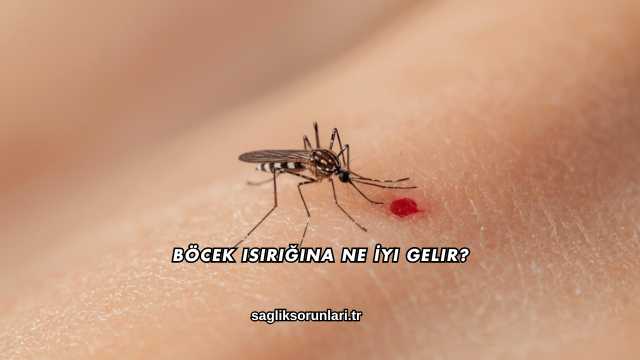 Böcek Isırığına Ne İyi Gelir?