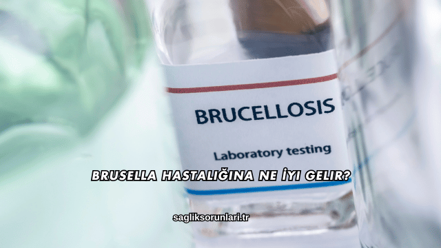 Brusella Hastalığına Ne İyi Gelir?