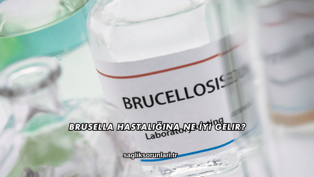 Brusella Hastalığına Ne İyi Gelir?