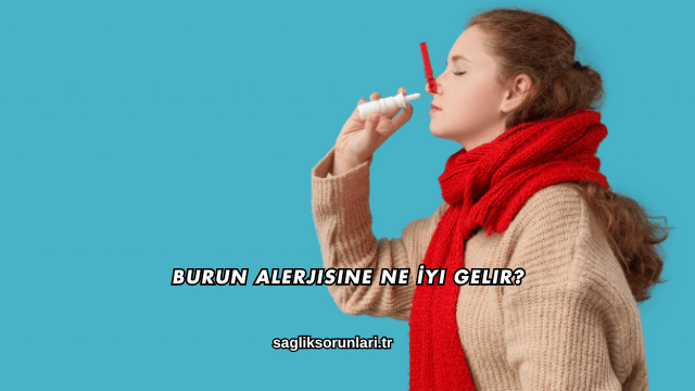 Burun Alerjisine Ne İyi Gelir?