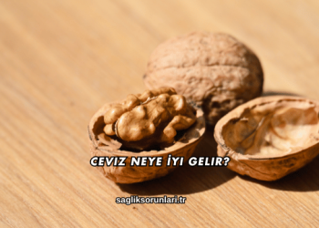 Ceviz Neye İyi Gelir?