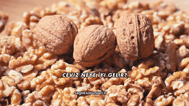 Ceviz Neye İyi Gelir?
