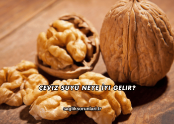 Ceviz Suyu Neye İyi Gelir?