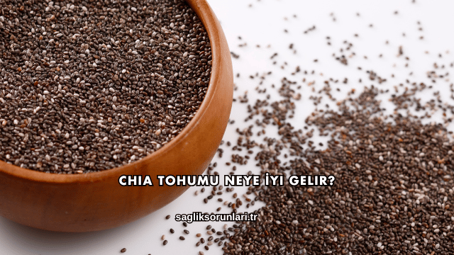 Chia Tohumu Neye İyi Gelir?