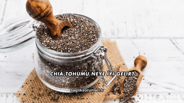 Chia Tohumu Neye İyi Gelir?