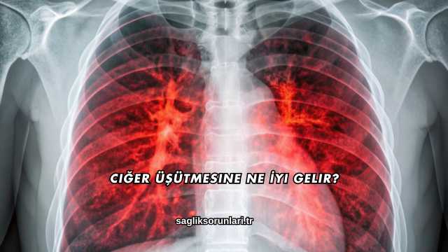 Ciğer Üşütmesine Ne İyi Gelir?