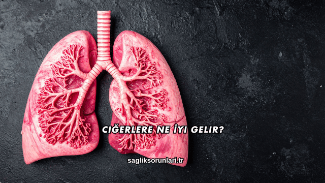 Ciğerlere Ne İyi Gelir?