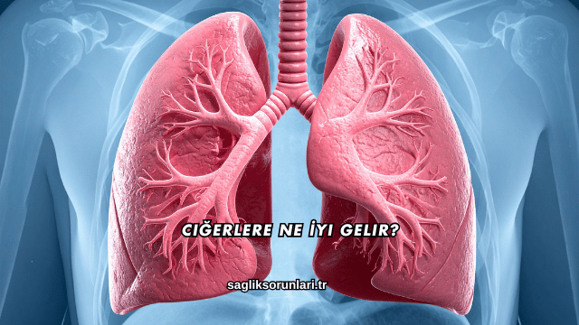 Ciğerlere Ne İyi Gelir?