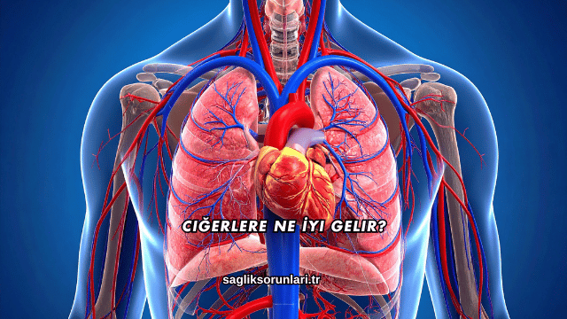 Ciğerlere Ne İyi Gelir?