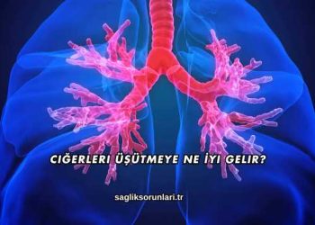 Ciğerleri Üşütmeye Ne İyi Gelir?