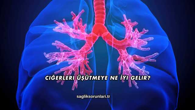 Ciğerleri Üşütmeye Ne İyi Gelir?