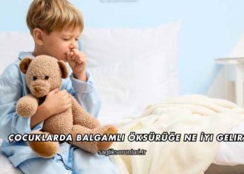 Çocuklarda Balgamlı Öksürüğe Ne İyi Gelir?