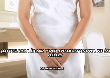 Çocuklarda İdrar Yolu Enfeksiyonuna Ne İyi Gelir?