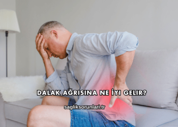 Dalak Ağrısına Ne İyi Gelir?