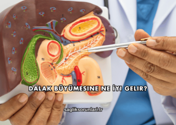 Dalak Büyümesine Ne İyi Gelir?