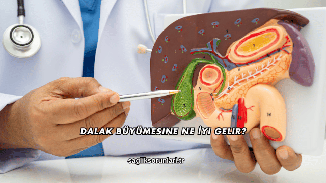 Dalak Büyümesine Ne İyi Gelir?