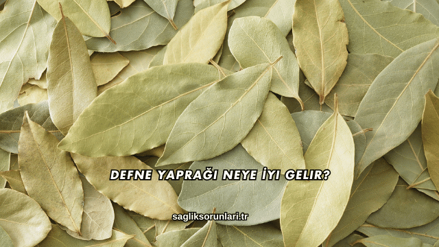 Defne Yaprağı Neye İyi Gelir?