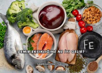 Demir Eksikliğine Ne İyi Gelir?