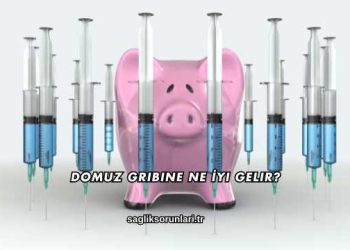 Domuz Gribine Ne İyi Gelir?