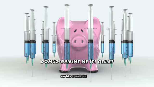 Domuz Gribine Ne İyi Gelir?