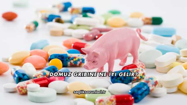 Domuz Gribine Ne İyi Gelir?