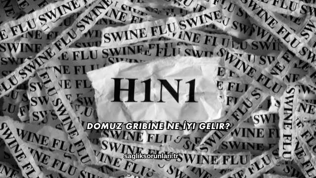 Domuz Gribine Ne İyi Gelir?