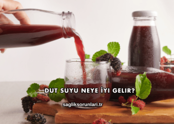 Dut Suyu Neye İyi Gelir?
