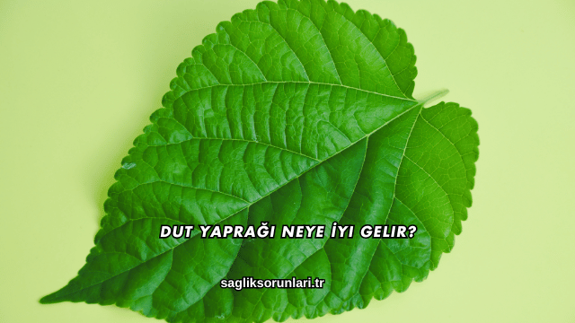 Dut Yaprağı Neye İyi Gelir?