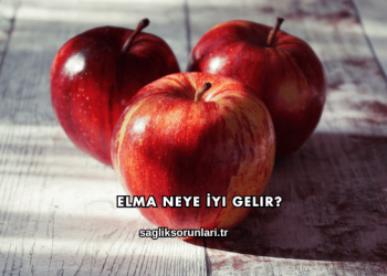 Elma Neye İyi Gelir?