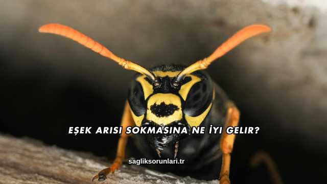 Eşek Arısı Sokmasına Ne İyi Gelir?
