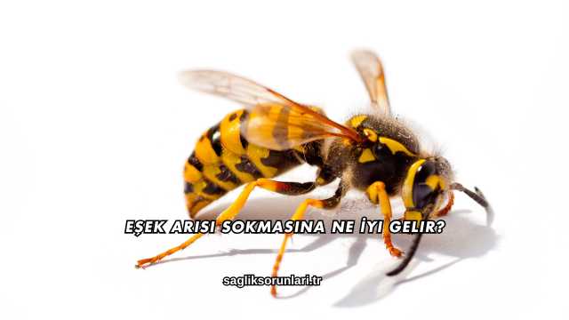 Eşek Arısı Sokmasına Ne İyi Gelir?