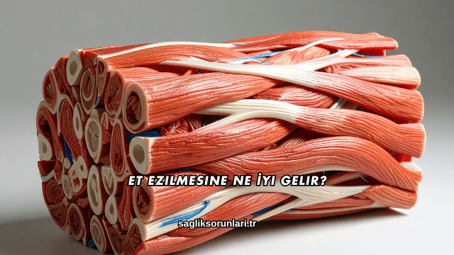 Et Ezilmesine Ne İyi Gelir?