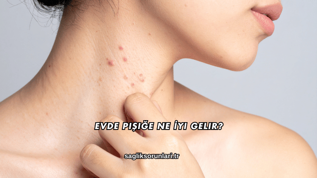 Evde Pişiğe Ne İyi Gelir?