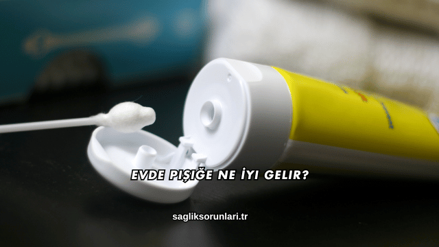 Evde Pişiğe Ne İyi Gelir?