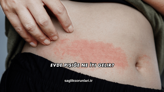 Evde Pişiğe Ne İyi Gelir?