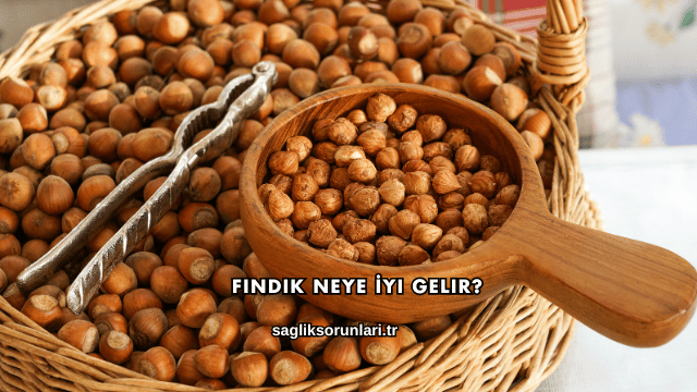 Fındık Neye İyi Gelir?