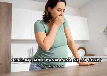 Gebelikte Mide Yanmasına Ne İyi Gelir?