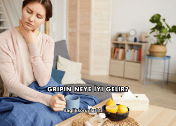 Gripin Neye İyi Gelir?