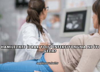 Hamilelikte İdrar Yolu Enfeksiyonuna Ne İyi Gelir?