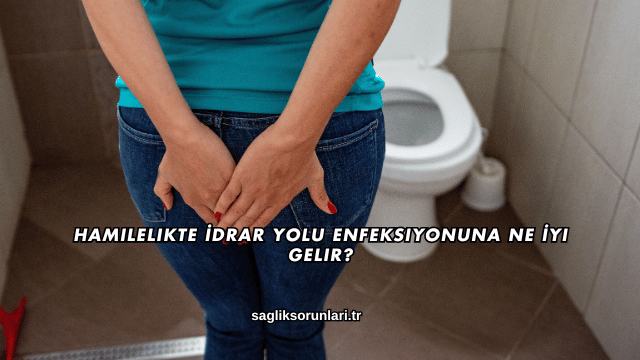 Hamilelikte İdrar Yolu Enfeksiyonuna Ne İyi Gelir?