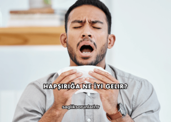 Hapşırığa Ne İyi Gelir?