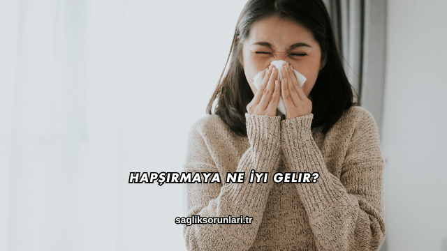 Hapşırmaya Ne İyi Gelir?