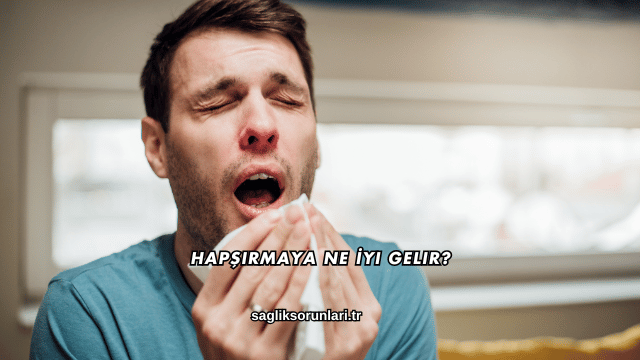 Hapşırmaya Ne İyi Gelir?