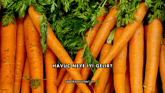 Havuç Neye İyi Gelir?