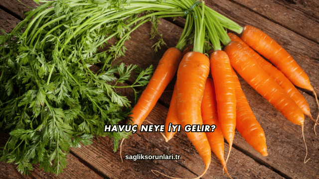 Havuç Neye İyi Gelir?